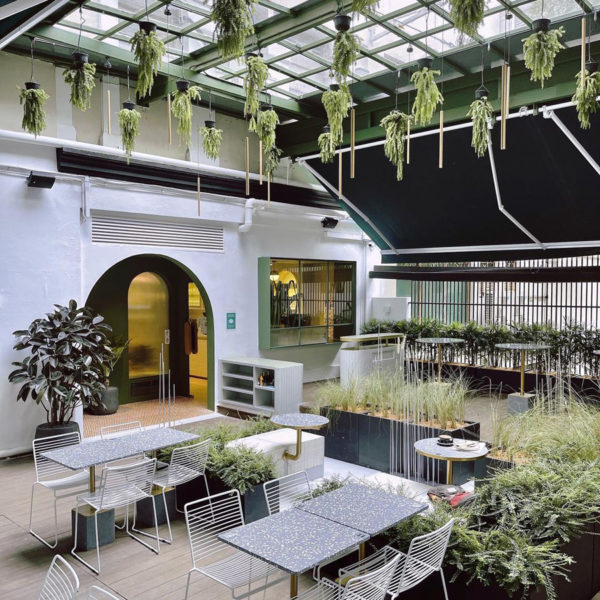 New Bukit Timah Café Has A Sunroof Outdoor Dining Hanging Plants For