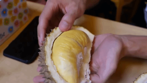 Image result for durian gif