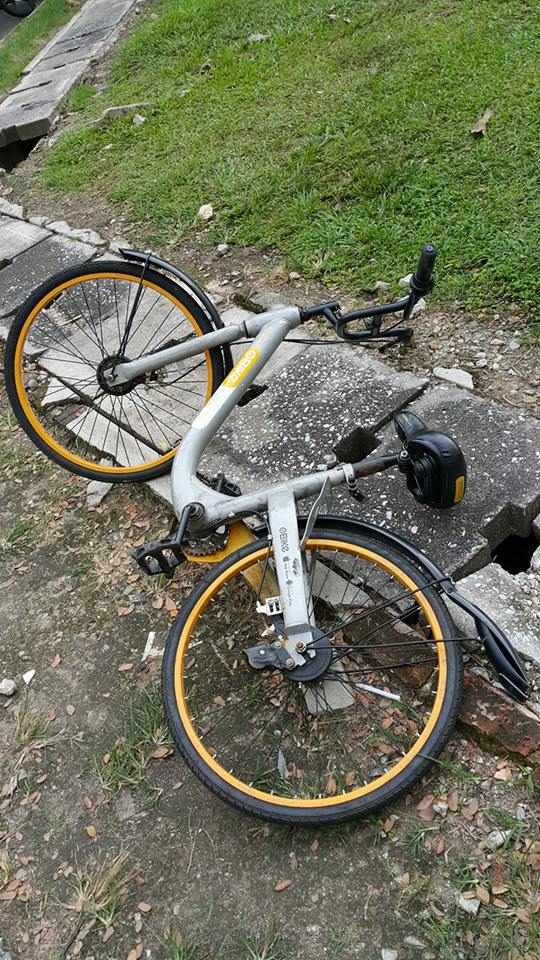 obike bicycle