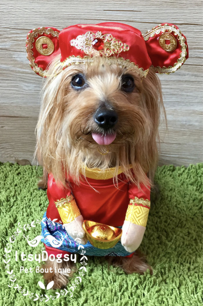 2020 Chinese New Year Cotton Padded Pet Dog Costume For Spring Festive Party Dress Up Printed Dogs Winter Warm Coat Photograph Props From Qiananshopping 16 71 Dhgate Com