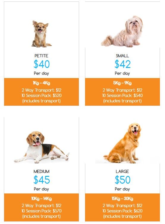 how much does it cost to board a dog