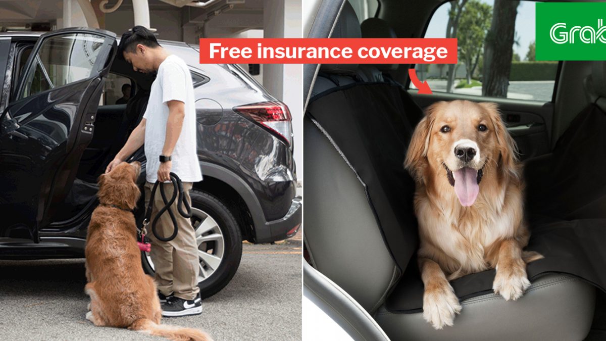 Are Dogs Allowed In Grab