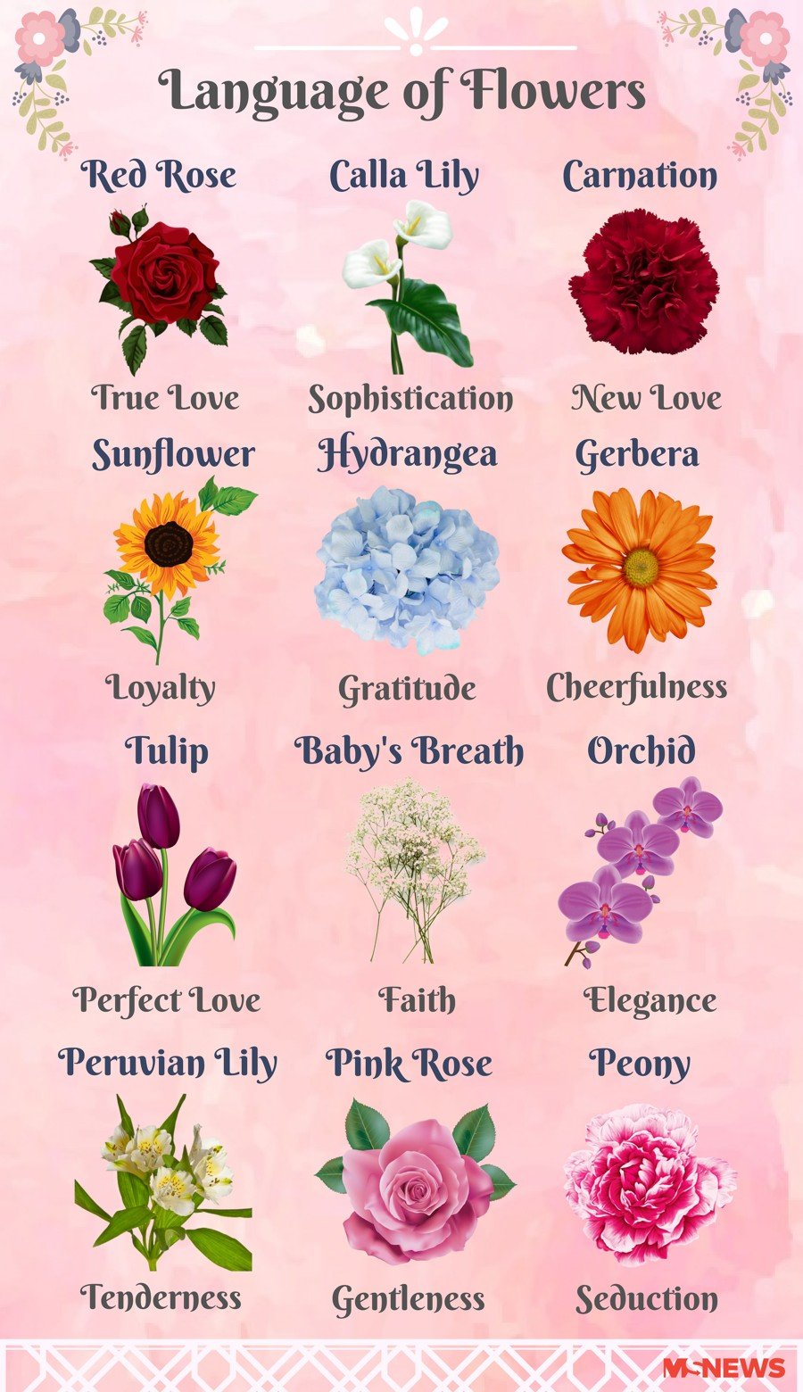 12 Valentine's Day Flower Meanings Explained To Woo Your Boo