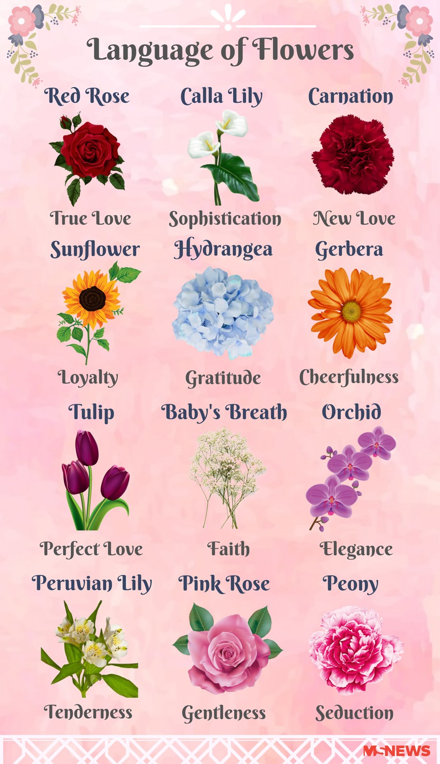 12 Valentine s Day Flower Meanings Explained To Woo Your Boo