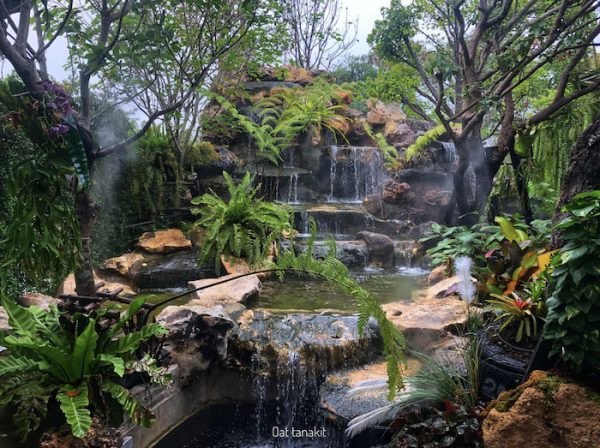 This Cafe In Bangkok Has A Gorgeous Waterfall & Thai Melon Desserts ...