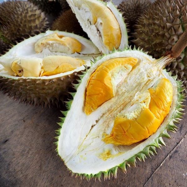 Genting Durian Festival Has 50 Tonnes Of Musang King, XO & Black Thorn ...