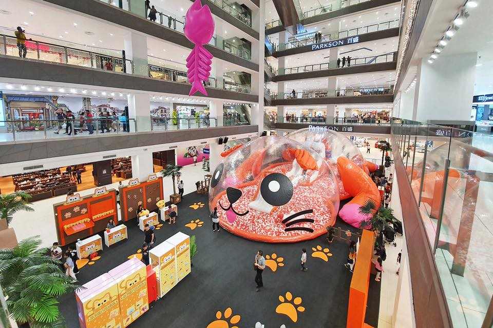Giant Inflatable Cat-Themed Ball Pit 