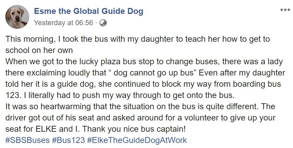guide-dog-facebook-post.jpg