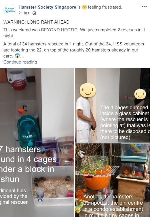 Hamster-Society-Singapore-FB.jpg
