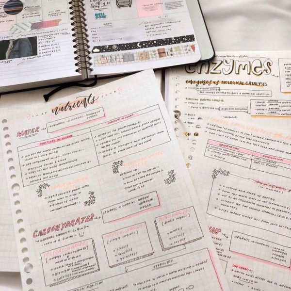 Studygram Inspires S'porean Students To Do Notes With Colours, Cursives ...