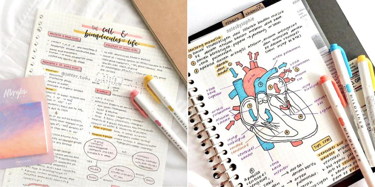 Studygram Inspires S'porean Students To Do Notes With Colours, Cursives