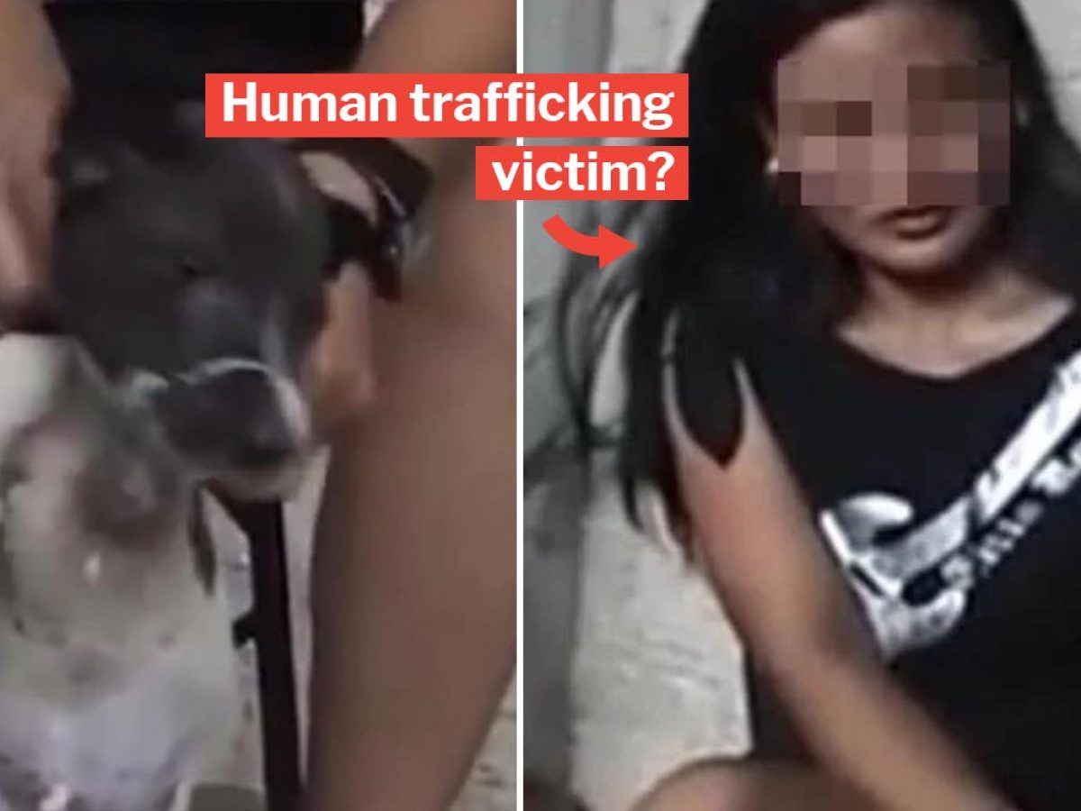 SPCA Confirms Puppy Torture Video An Old Case In 2014, Culprits Already  Jailed For Life