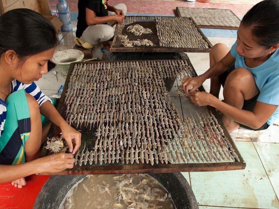 Roasted Lizard Rice Bowls In Vietnam Look Like Ikan Billis With Rice If You Don't Think Too Hard