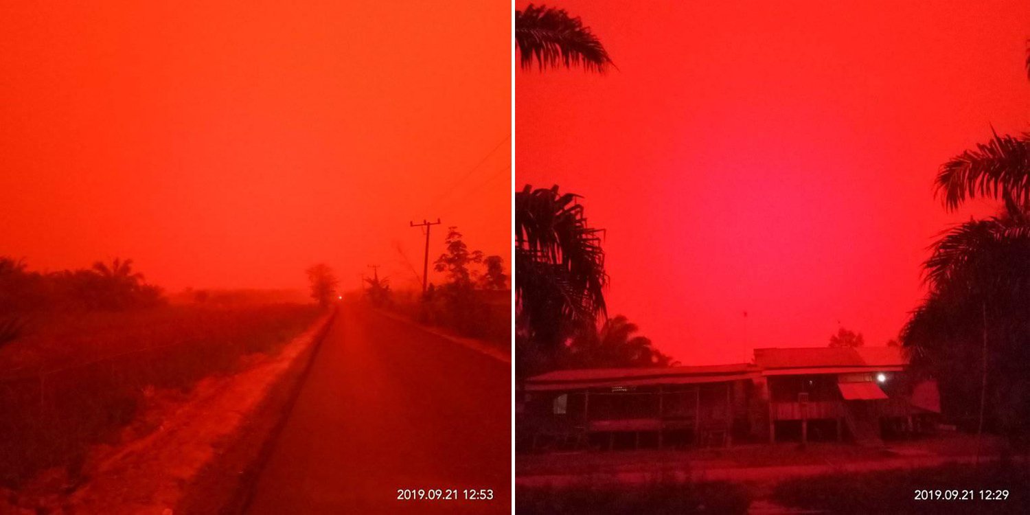 Forslag væske tweet Indonesia's Sky Turns Into A Nightmare Of Red Due To The Thick Smog