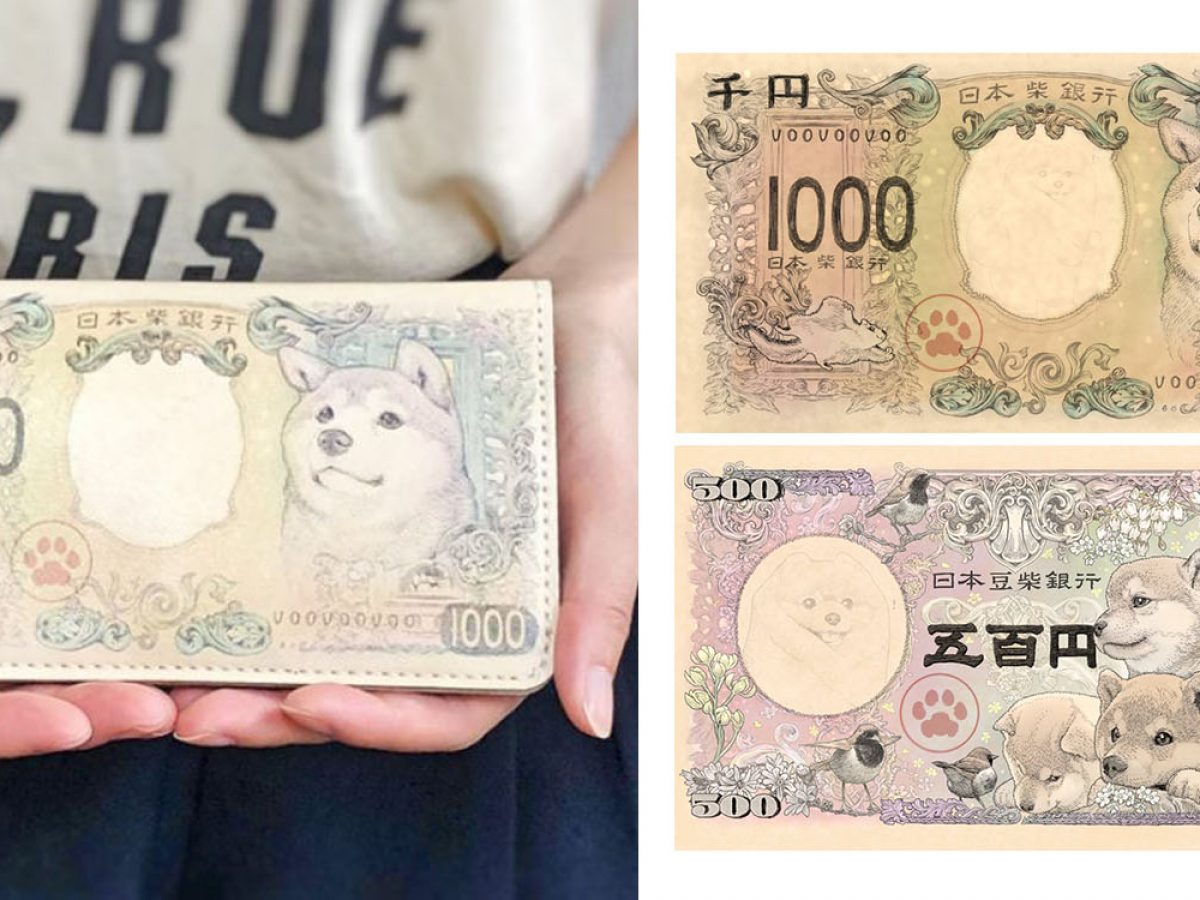 How Shiba inu express love for their owners – grape Japan