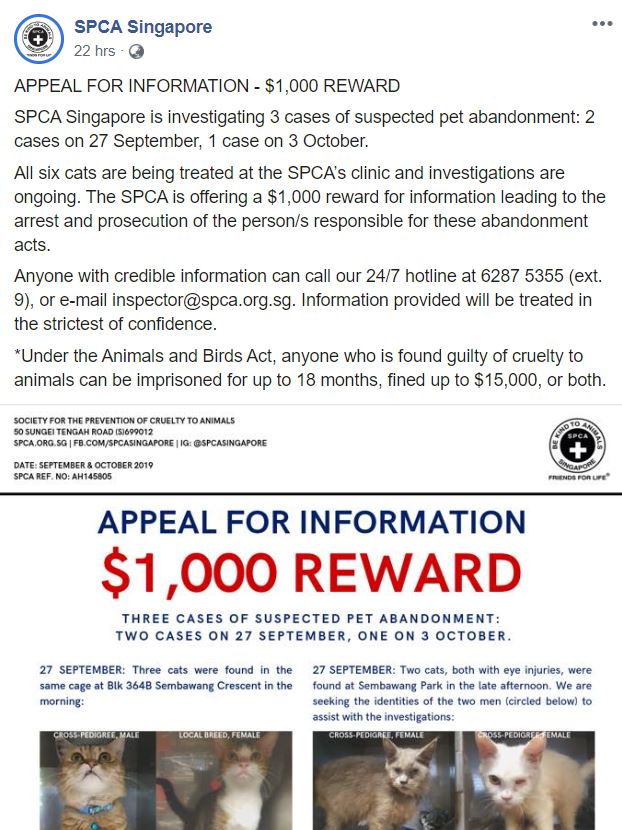 SPCA Is Offering $1,000 Reward If You Have Reliable Info On 6 Cats ...