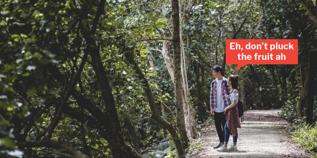 Plucking Fruits From Public Trees Without Permission Can Get You Fined