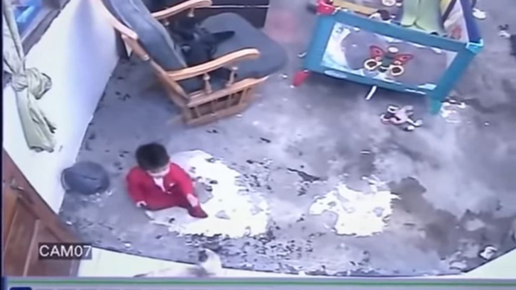 Heroic Cat Saves Baby From Falling Down Flight Of Stairs With Its Itty