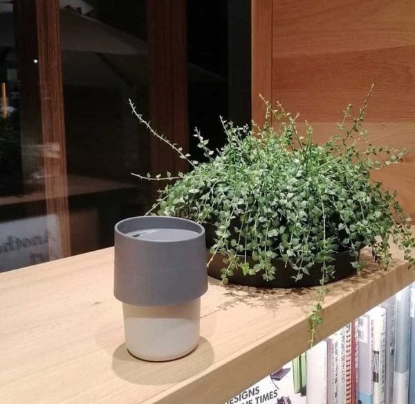 IKEA Travel Coffee Mug 2 Pack TROLIGTVIS Keeps Beverages Hot FREE SHIPPING