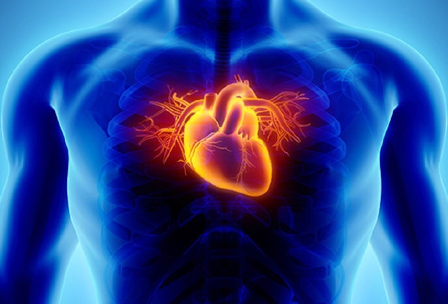 A Study On Heart Disease