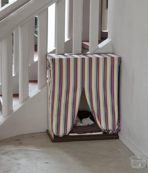 Cat Beds For Strays Set Up In Void Deck, Netizen's Simple Act Met With