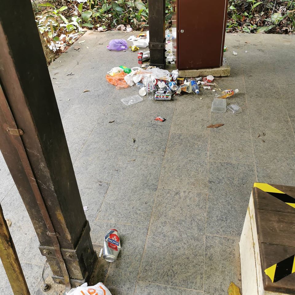 MacRitchie Reservoir trash 2