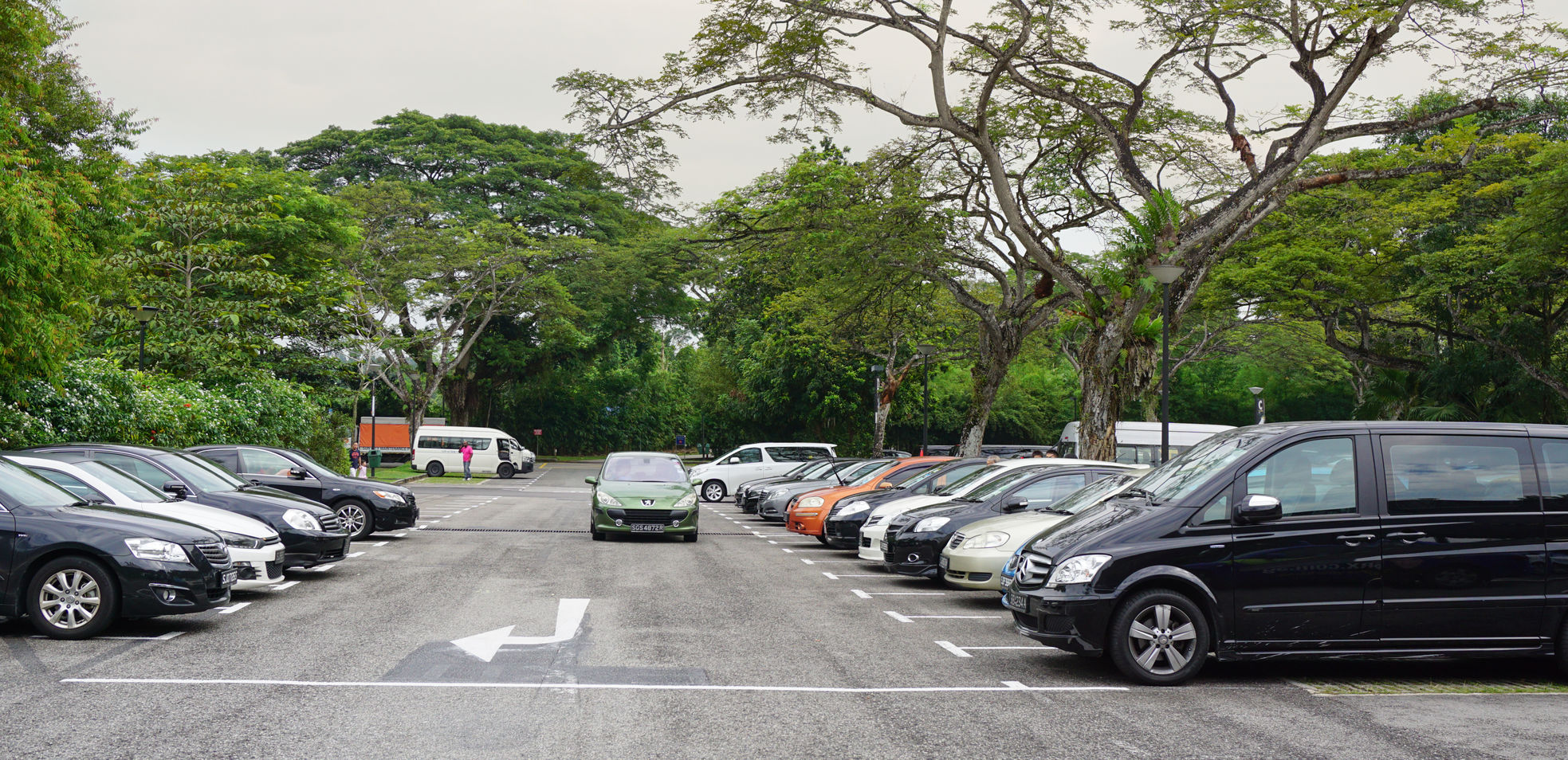 Парк трансфер. Сингапур парковка. Автопарковка в Сингапуре. Современные парковки. Стоянка для авто в природе.