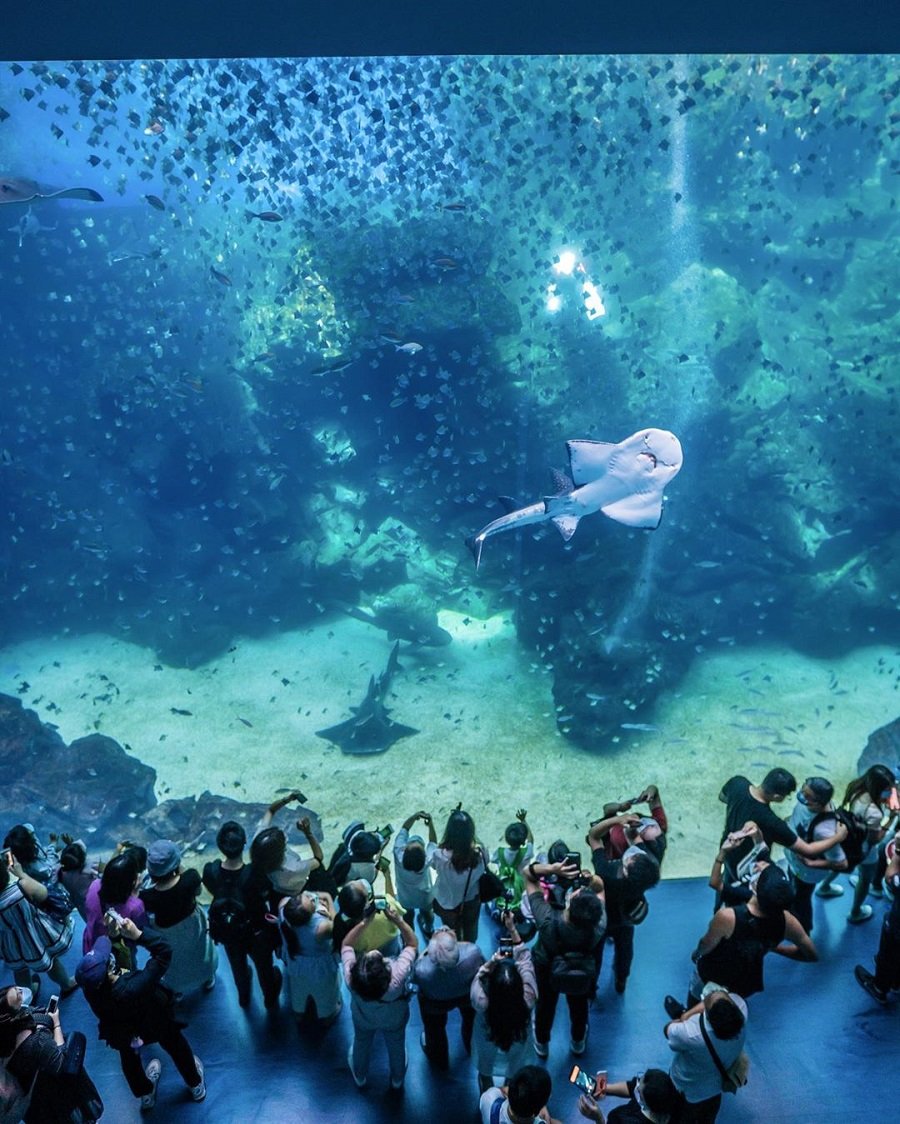 Taiwan's Xpark Aquarium Has Glowing Jellyfish Orbs & Pipe ...