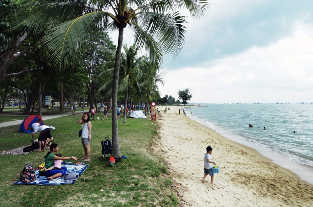 NEA Lets You Check Beach Water Quality Levels So You Don't End Up ...