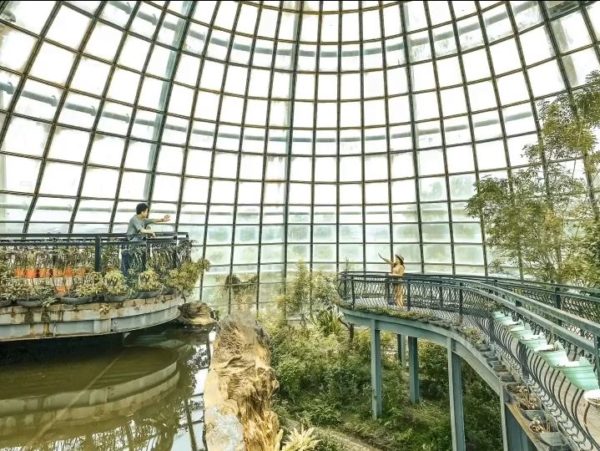 Taiwan Butterfly Park Is A Dome With Elevated Viewing Decks Looks Like