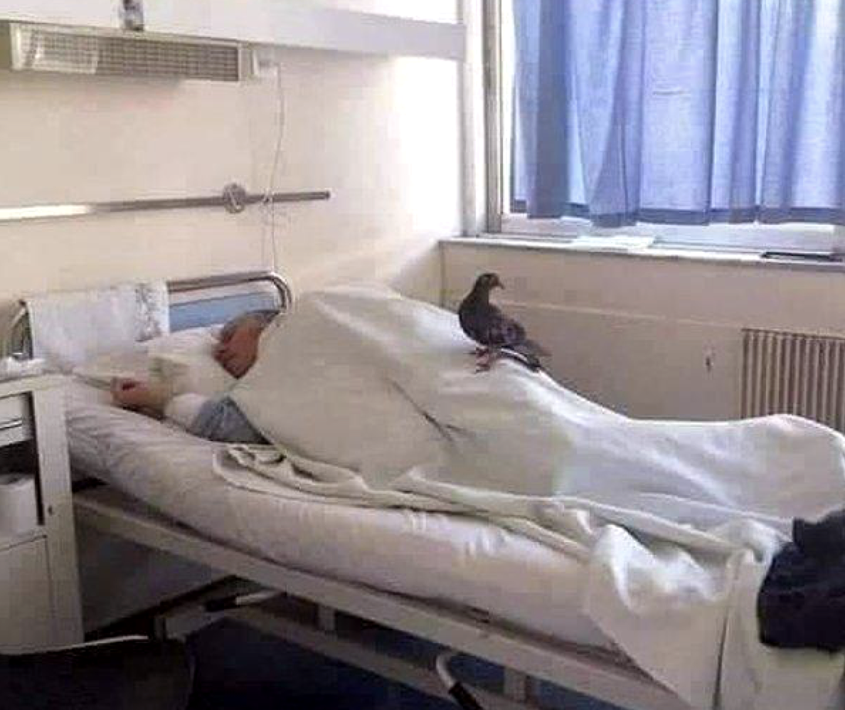 Ноги на кровати в больнице