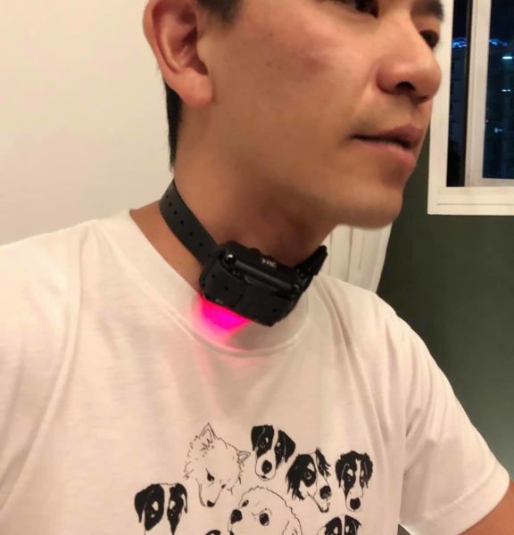 S’poreans Try Prong & Shock Collars To Show Cruelty, Advise Dog Owners