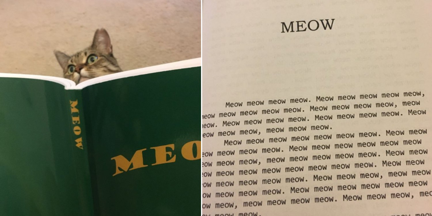 A_meow