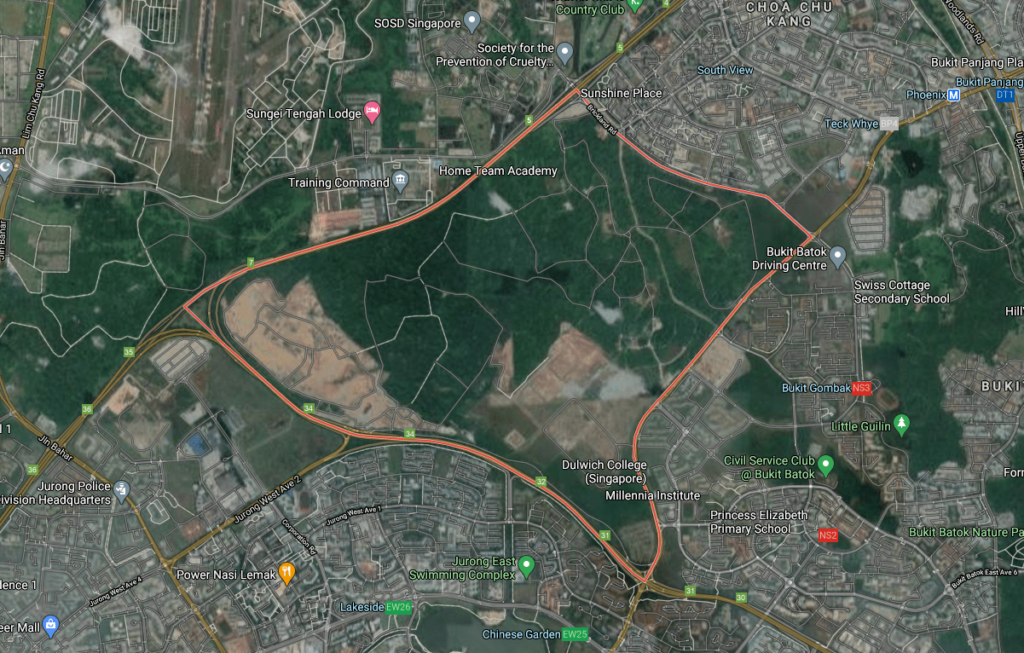 Part Of Tengah Forest To Be Cleared For Expressways, Wildlife Crossings ...