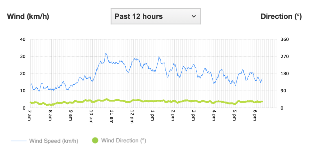49.3KM/H Winds Hit S’pore On 18 Jan, Speed Almost As Fast As Our Buses