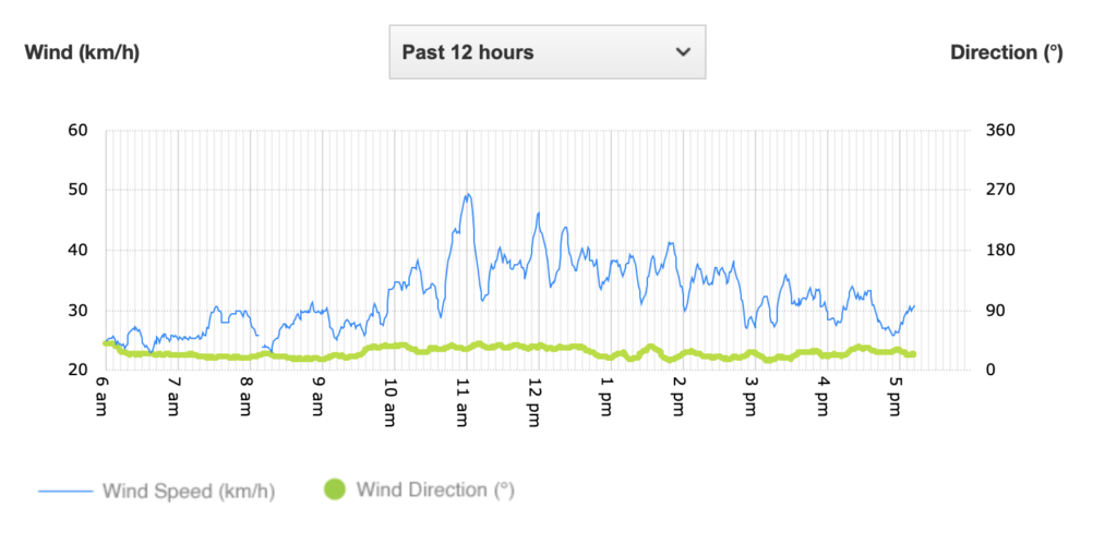 49.3KM/H Winds Hit S’pore On 18 Jan, Speed Almost As Fast As Our Buses