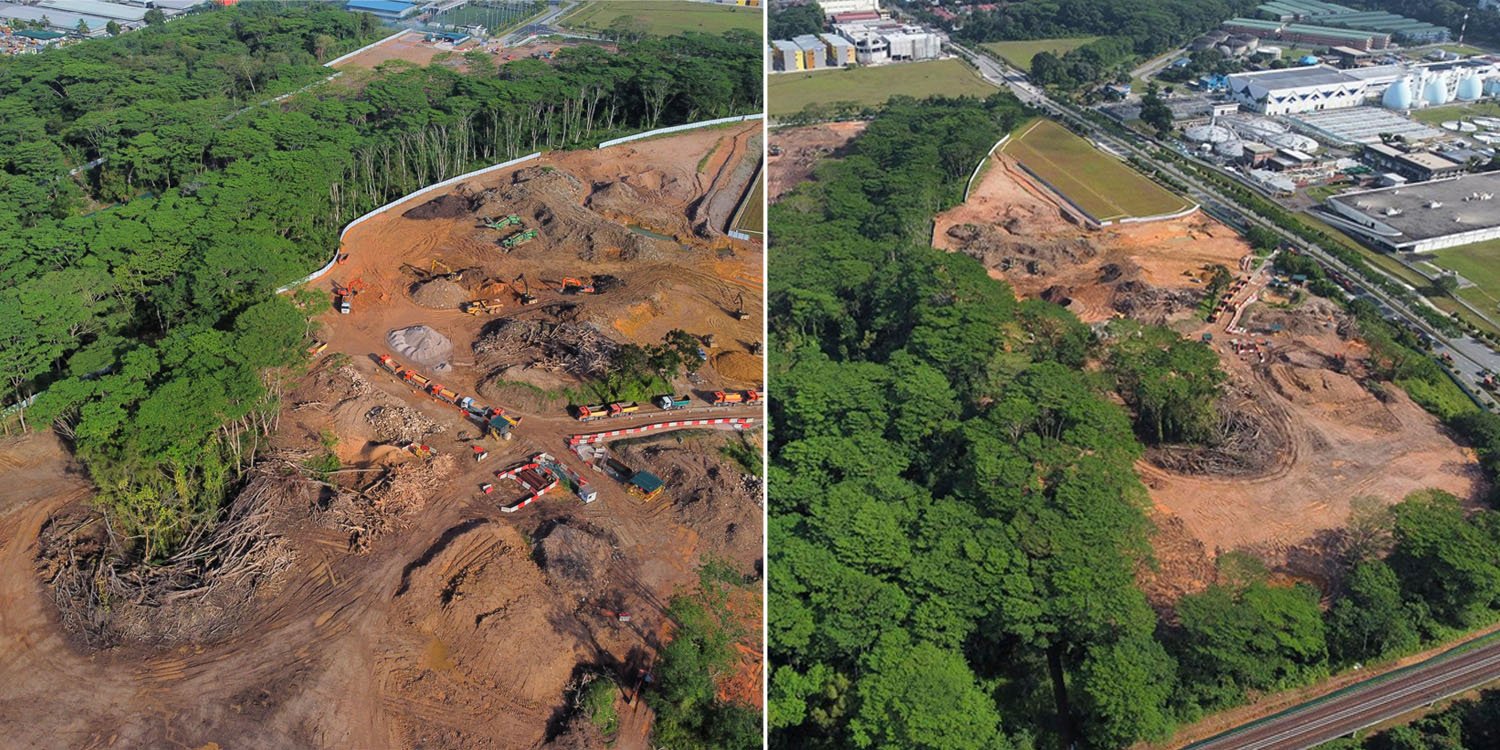 Kranji-Woodlands-Forest-Was-Cleared-By-Mistake-JTC-Issues-Stern-Warning-To-Contractor.jpg