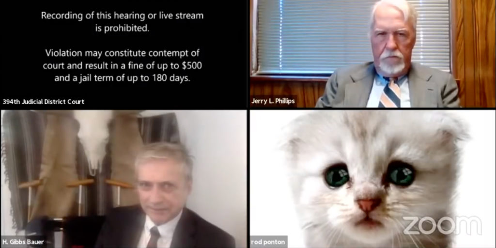 US Lawyer Panics As He Accidentally Turns On Cat Filter In Zoom During