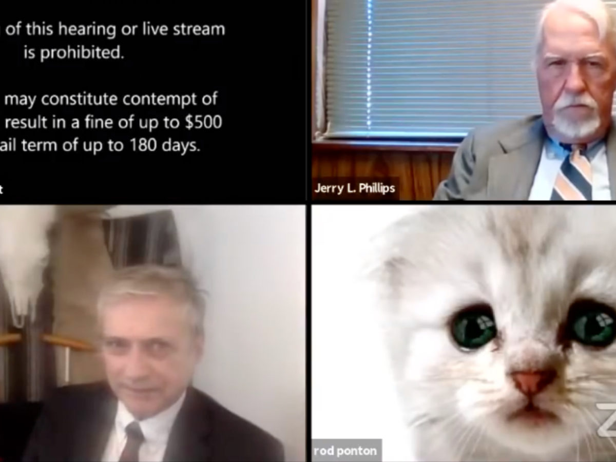 Us Lawyer Panics As He Accidentally Turns On Cat Filter In Zoom During Court Hearing Session Us Lawyer Panics As He Accidentally Turns On Cat Filter In Zoom During Court Hearing Session