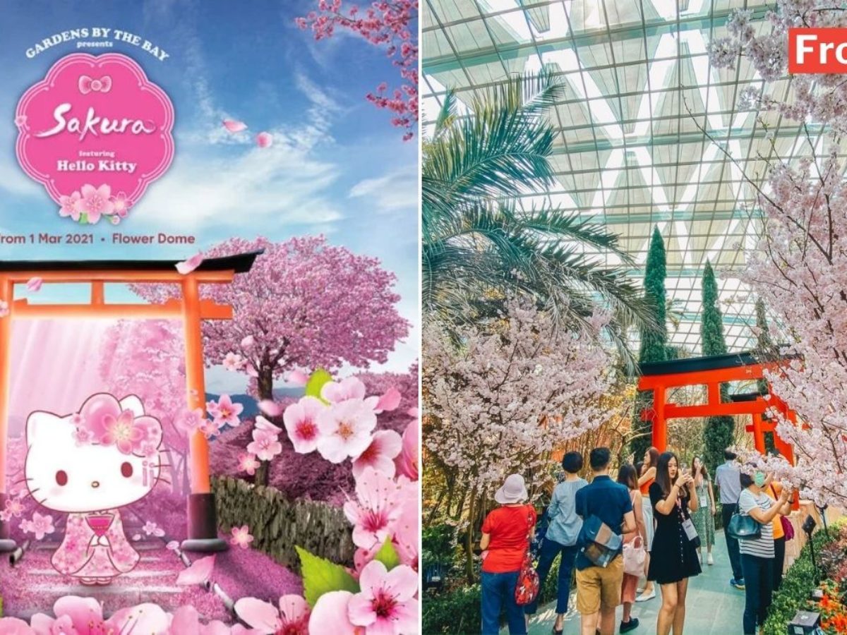 Sakura Gradens Sakura Gardens La , la sakura – MMBQAZ
