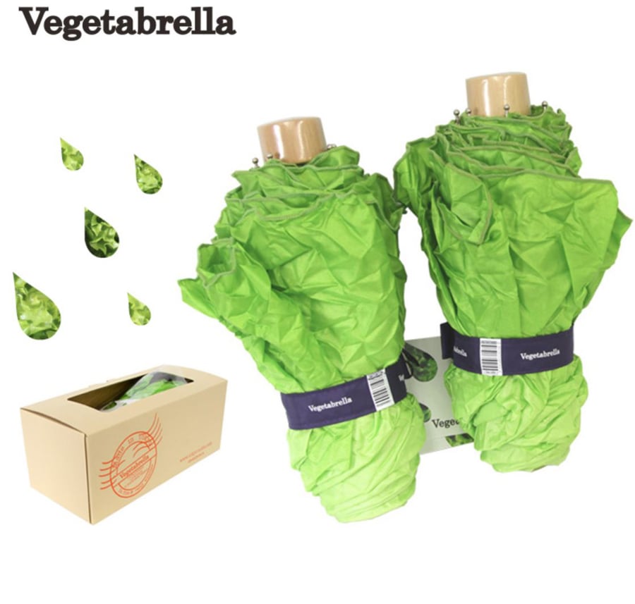 Cabbage Umbrellas 2