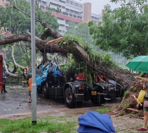 Trees Reportedly Fall On Vehicles Due To Heavy Rain In Bukit Batok