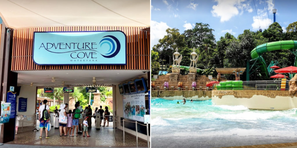 Adventure Cove Reopens On 12 May, Visitors Must Make Online Booking For