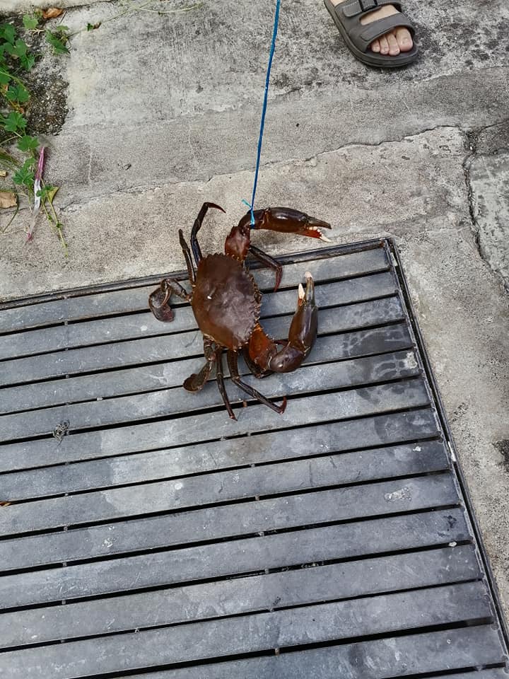 man crab walk