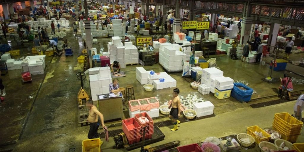 Jurong Fishery Port Infections Likely Came From Foreign Boats, Rules