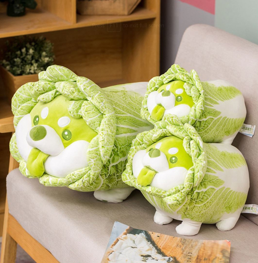 Cabbage Shiba Inu plushie 3