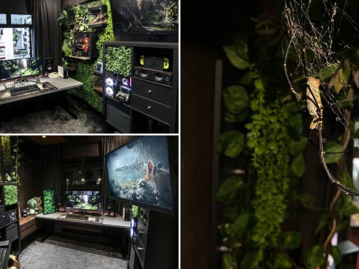 Man Transforms HDB Room Into A Botanical Gaming Haven, Pet Spiders Wander  Freely Inside
