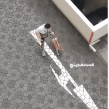 man dragging dog 