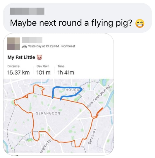 Cyclist pig route