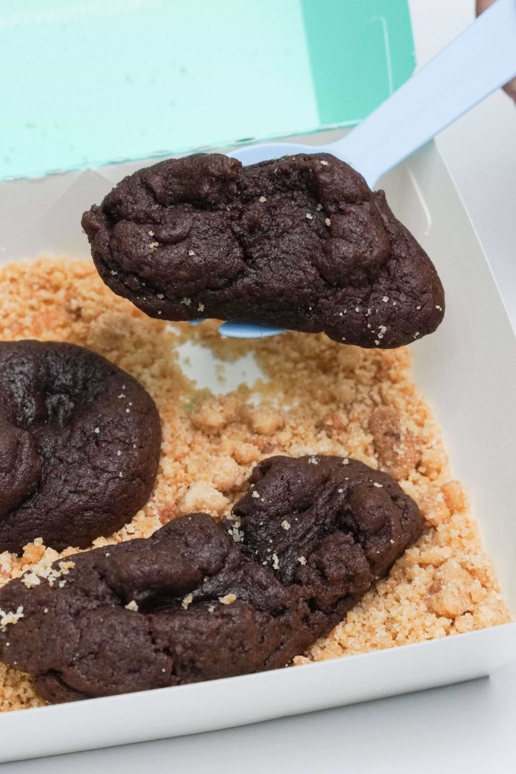 Nasty Cookie Brownies Resemble Cat Poop In Litter, Will Confuse Your ...